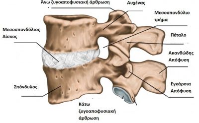 Όζοι (κήλες) του Schmorl